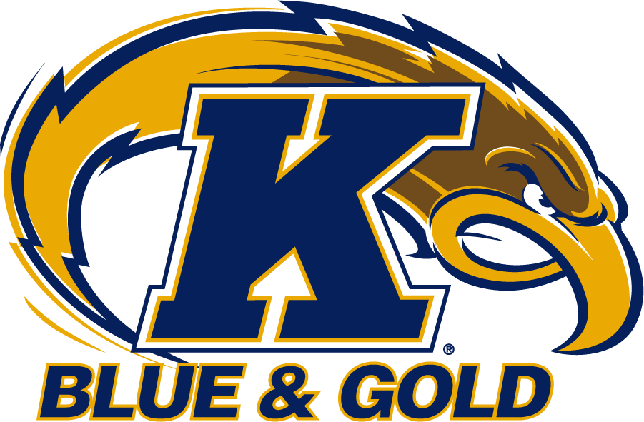 Kent State Golden Flashes 2001-2017 Secondary Logo v2 iron on transfers for clothing